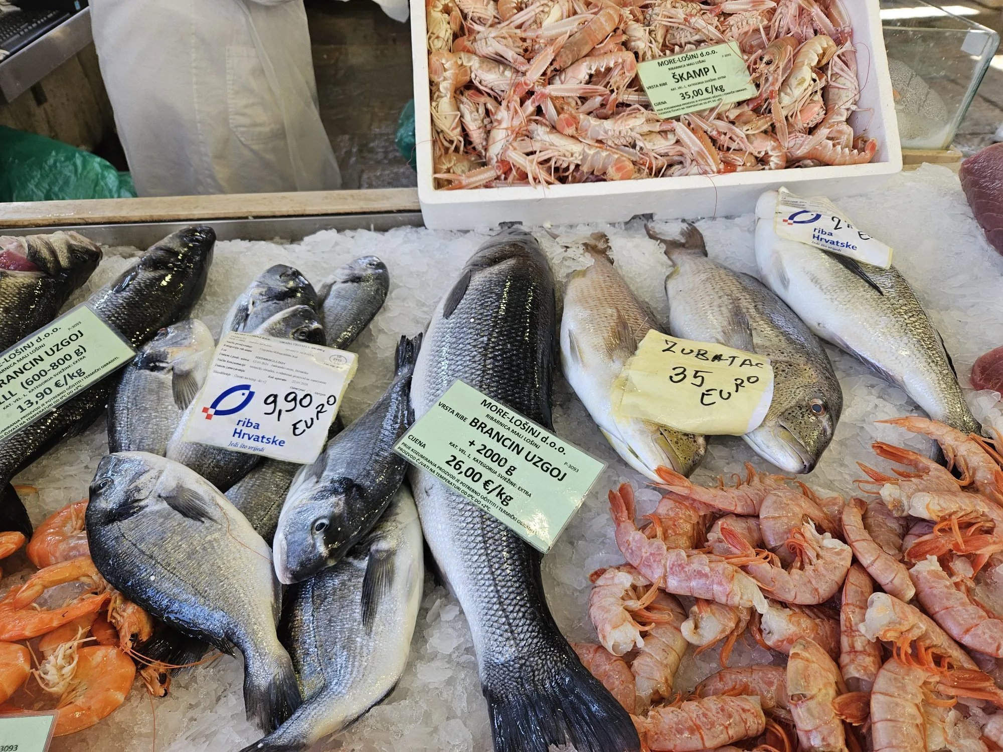 🐟 스플리트 어시장 (그라츠카 리바르니차 페슈카리야)